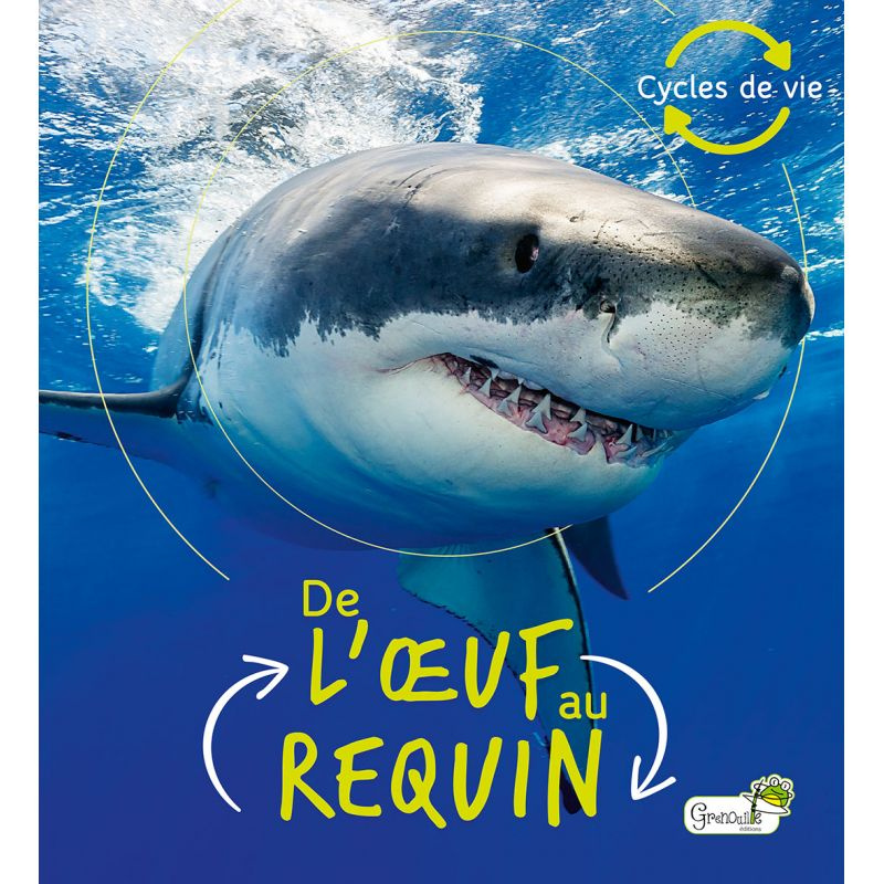 De l'oeuf au requin De l'oeuf au requin