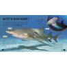 De l'oeuf au requin