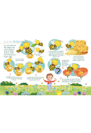 Les petits animaux du jardin