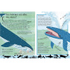 Les baleines, les requins et autres animaux marins