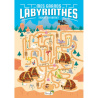 Mes grands labyrinthes - Trouve la sortie !