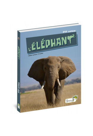 L'éléphant