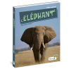 L'éléphant