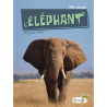 L'éléphant