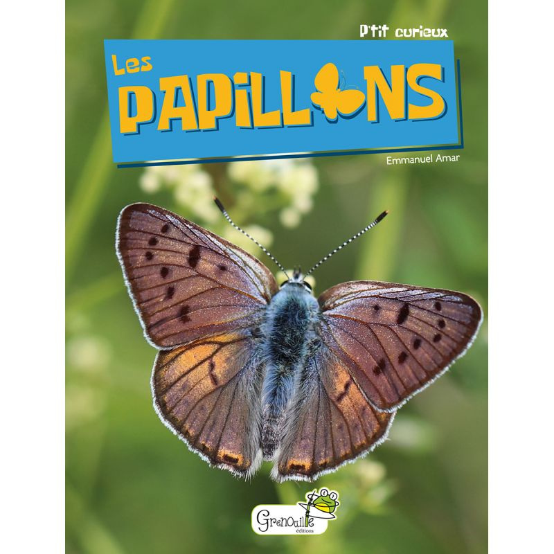 Les papillons Les papillons