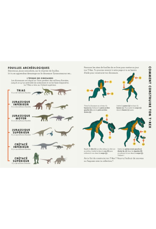 Construis un... T-rex - Avec un modèle 3D à réaliser