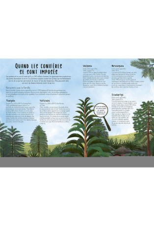 Les plantes à la conquête du monde