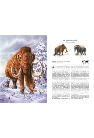 Atlas des animaux disparus