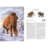 Atlas des animaux disparus