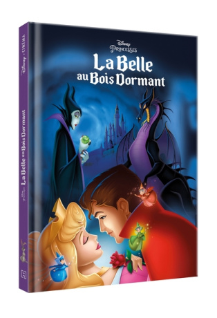 La Belle au bois dormant : L’histoire du film