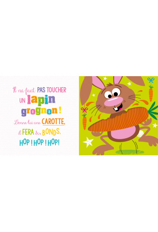 Il ne faut pas toucher un lapin grognon