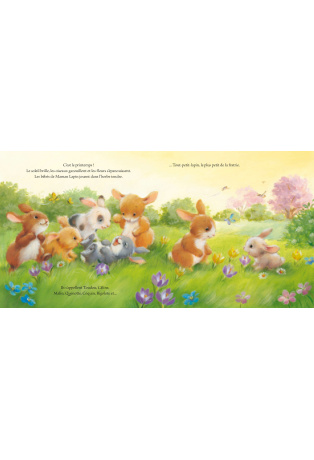 Le Tout Petit Lapin