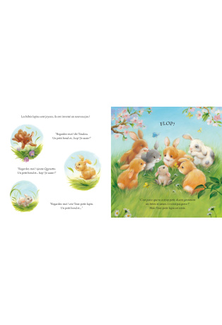 Le Tout Petit Lapin