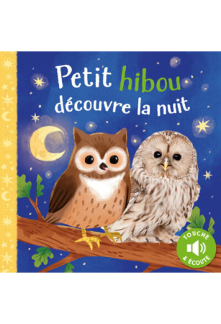 Petit hibou découvre la nuit