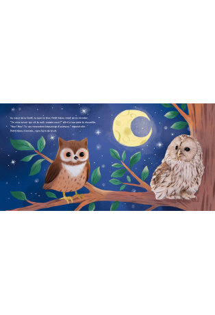 Petit hibou découvre la nuit