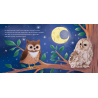 Petit hibou découvre la nuit