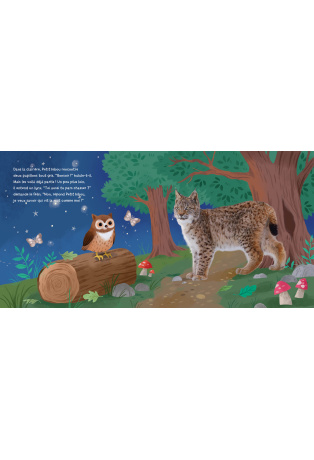 Petit hibou découvre la nuit