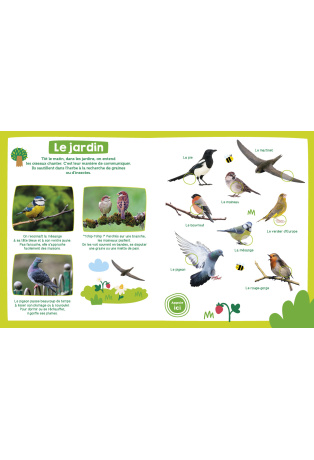 MON IMAGIER SONORE - MON IMAGIER SONORE - OISEAUX