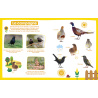 MON IMAGIER SONORE - MON IMAGIER SONORE - OISEAUX
