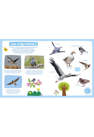 MON IMAGIER SONORE - MON IMAGIER SONORE - OISEAUX