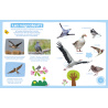 MON IMAGIER SONORE - MON IMAGIER SONORE - OISEAUX
