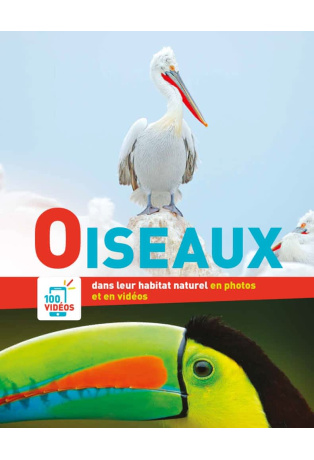 Oiseaux dans leur habitat naturel en photos et en vidéos
