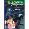 Le mystérieux chevalier - Tome 2