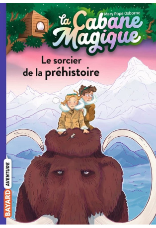 Le sorcier de la préhistoire - Tome 6