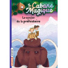Le sorcier de la préhistoire - Tome 6