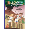 Panique à Pompéi - Tome 8