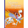 Le secret du dragon du soleil  - Tome 2