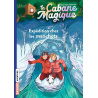 Expédition chez les manchots - Tome 35