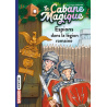 Espions dans la légion romaine - Tome 53