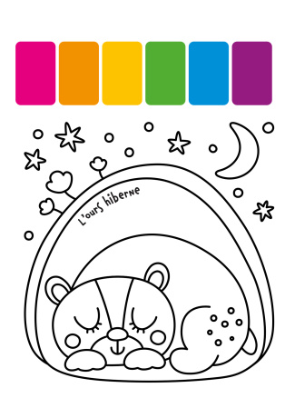 La forêt - Avec 1 pinceau