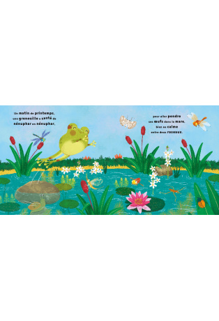 LA PETITE GRENOUILLE