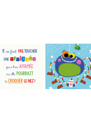 Il ne faut pas toucher une araignée !