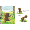 Un ami pour petit Ours
