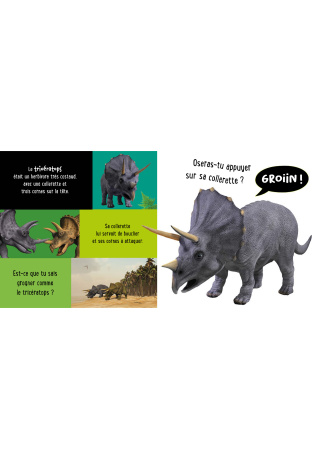MON PREMIER LIVRE SONORE À TOUCHER - LES DINOSAURES NE