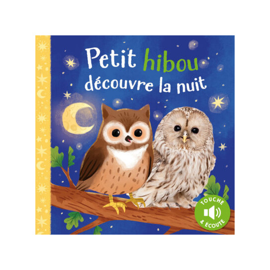 Petit hibou découvre la nuit