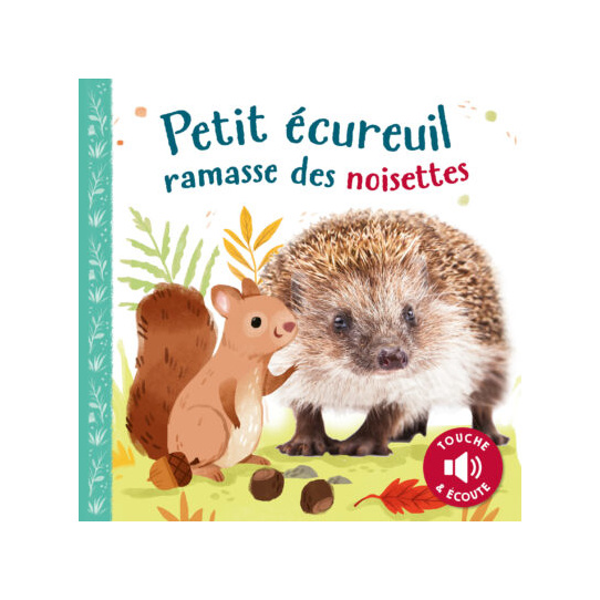 PETIT ÉCUREUIL RAMASSE DES NOISETTES