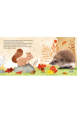 PETIT ÉCUREUIL RAMASSE DES NOISETTES