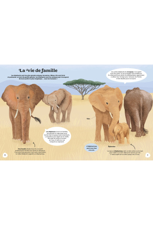 Les Merveilles de la Nature