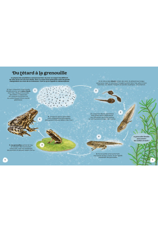 Les Merveilles de la Nature