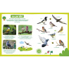 MON IMAGIER SONORE - MON IMAGIER SONORE - OISEAUX