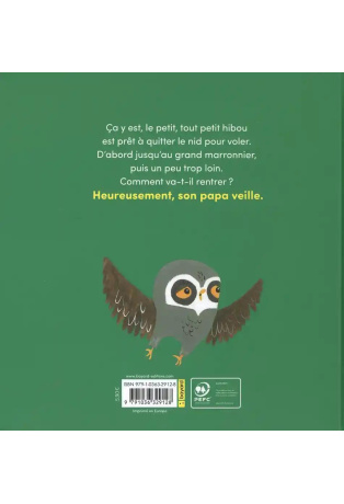 Le petit, tout petit hibou s'envole