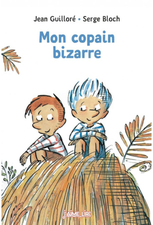 Mon copain bizarre