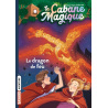 Le dragon de feu - Tome 50 Le dragon de feu - Tome 50