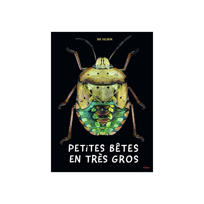 Petites bêtes en très gros