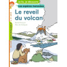 Le réveil du volcan