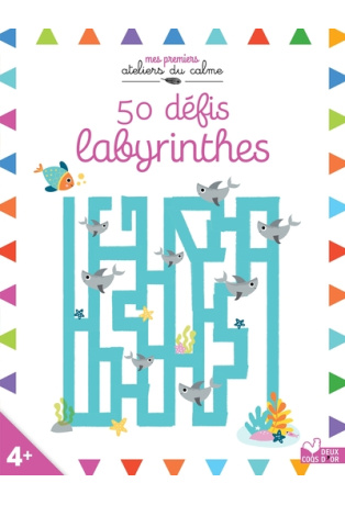 50 défis labyrinthes